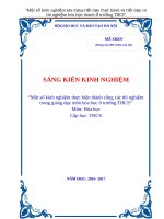 Một số kinh nghiệm xây dựng tiết dạy thực hành và tiết dạy có thí nghiệm hóa học thành ở trường THCS 