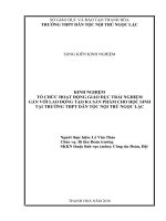 Kinh nghiệm tổ chức hoạt động giáo dục trải nghiệm gắn với lao động tạo ra sản phẩm cho học sinh tại trường THPT dân tộc nội trú ngọc lặc1 