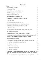 Tích hợp giáo dục giới tính và sức khỏe sinh sản vị thành niên trong dạy học sinh học lớp 11 cho học sinh trường THPT lê lợi 