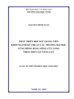  Phát triển đội ngũ giảng viên khối ngành kỹ thuật các Trường Đại học Vùng Đồng bằng sông Cửu Long theo tiếp cận năng lực
