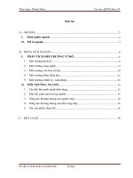 Bài tập cá nhân cao học  phân tích NGÀNH DU LỊCH