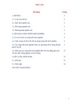 Rèn luyện kỹ năng tính khoảng cách từ điểm đến mặt bên hình chóp cho học sinh khối 11 trường THPT hậu lộc 4 