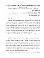 NGHIÊN cứu HÀNH VI bạo lực đối với PHỤ nữ TRÊN địa bàn THÀNH PHỐ đà NẴNG