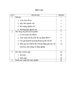 Một số kinh nghiệm trong dạy học theo định hướng phát triển năng lực của học sinh về chủ đề tìm hiểu virut và đại dịch HI 