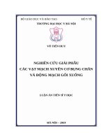 Nghiên cứu giải phẫu các vạt mạch xuyên cơ bụng chân và động mạch gối xuống