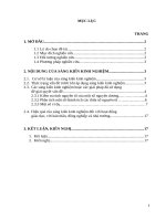 Tính nguyên tố của một số nguyên và sử dụng tính nguyên tố để giải quyết một số bài toán 