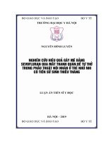 Nghiên cứu hiệu quả gây mê bằng sevofluran qua mát thanh quản để tự thở trong phẫu thuật nội nhãn ở trẻ nhũ nhi có tiền sử thiếu tháng