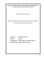 SOMETECHNIQUES TO TEACH NEW VOCABULARYFOR AECONDARY SCHOOL STUDENTS 