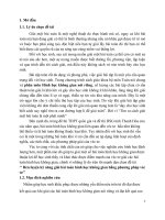 Rèn luyện kỹ năng giải bài toán hình học không gian bằng phương pháp véc tơ 