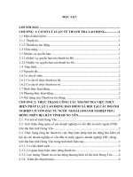 Thực trạng công tác thanh tra việc thực hiện pháp luật lao động bảo hiểm xã hội tại các doanh nghiệp có vốn đầu tư nước ngoài ( doanh nghiệp FDI ) đóng trên địa bàn tỉnh hưng yên