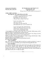 Đề thi chuyên đề ngữ văn 12 lần 3 năm 2018 – 2019 trường liễn sơn – vĩnh phúc 