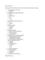 Review da liễu hồng 