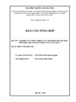 Nghiên cứu phát triển các mô hình  thị trường phù hợp cho người nghèo vùng tây bắc 