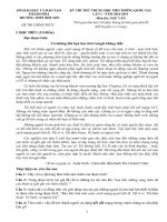 Đề thi thử THPTQG 2019 môn ngữ văn trường THPT bỉm sơn – thanh hóa lần 1 