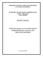 Nghiên cứu bệnh do streptococcus iniae gây ra trên cá chẽm (lates calcarifer) và biện pháp phòng bệnh tt tiếng anh 