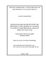 (Luận văn thạc sĩ) Đánh giá đa dạng di truyền ở mức độ hình thái và mức độ phân tử tập đoàn các dòng lúa đột biến được tạo ra từ giống lúa ST19 và Q2