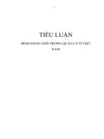 Binh dang gioi trong quan ly o viet nam