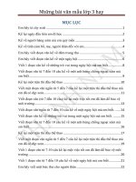 Những bài văn mẫu hay lớp 3