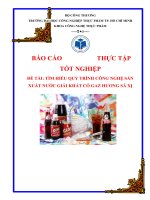 TÌM HIỂU QUY TRÌNH CÔNG NGHỆ SẢN XUẤT NƯỚC GIẢI KHÁT CÓ GAZ HƯƠNG SÁ XỊ