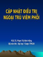 2 pham thi minh hong CD DTRI VIEM PHOI PGS HONG