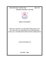 HIỆU QUẢ lâm SÀNG và THAY đổi INTERLEUKIN 6của lọc máu LIÊN tục PHỐI hợp với lọc hấp PHỤ BẰNG MÀNG lọc CYTOSORB TRONG điều TRỊ sốc NHIỄM KHUẨN 