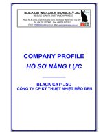 Company profile 