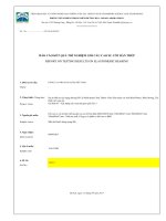 09 09 2017 MS 216 17 SG phú vinh gối cao su BRC 