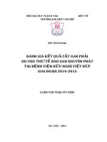 ĐÁNH GIÁ kết QUẢ cắt GAN PHẢI DO UNG THƯ tế bào GAN NGUYÊN PHÁT tại BỆNH VIỆN hữu NGHỊ VIỆT đức GIAI đoạn 2010 2015 
