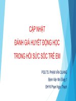 Cập nhật theo dõi huyết động trong hồi sức trẻ em 2019