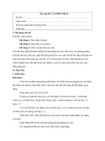 Giáo án hóa 11 chu de cacbon silic