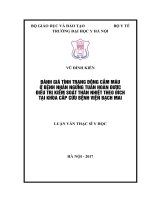 ĐÁNH GIÁ TÌNH TRẠNG ĐÔNG cầm máu ở BỆNH NHÂN NGỪNG TUẦN HOÀN được điều TRỊ KIỂM SOÁT THÂN NHIỆT THEO ĐÍCH tại KHOA cấp cứu BỆNH VIỆN BẠCH MAI 