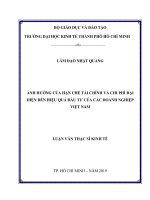 Ảnh hưởng của hạn chế tài chính và chi phí đại diện đến hiệu quả đầu tư của các doanh nghiệp việt nam 