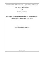 Cấu trúc sở hữu và hiệu quả hoạt động của các NHTM việt nam