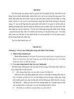 Vai trò của Chính phủ trong nền kinh tế thị trường – Qua đó liên hệ thực tiễn về ô nhiễm môi trường ở Việt Nam hiện nay