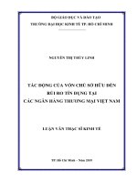 Tác động của vốn chủ sở hữu đến rủi ro tín dụng tại các ngân hàng thương mại việt nam 