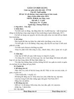 Giáo án tạo hình 5T