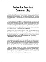 IT training practical common lisp seibel 2005 04 11 