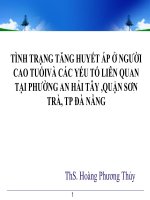 Hoang phuong thuy khotailieu y hoc 