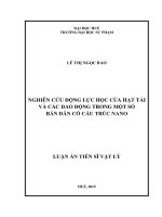 Nghiên cứu động lực học của hạt tải và các dao động trong một số bán dẫn có cấu trúc nano 