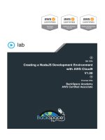 IT training 2 1 lab notes   NodeJS on AWS cloud9 pdf 