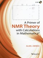 IT training a primer of NMR theory with calculations in mathematica benesi 2015 06 15 