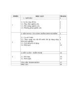 SKKN một số giải pháp hạn chế bạo lực với học sinh đồng tính tại lớp 11a2 trường THPT bắc sơn 