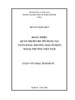 Hoàn thiện quản trị rủi ro tín dụng tại ngân hàng thương mại cổ phần ngoại thương việt nam 