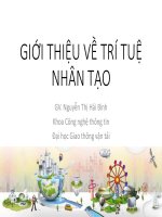 AI p0 introduction to AI  course 