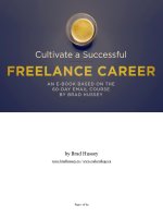 IT training 006 free ebook download cultivate a successful freelance career 