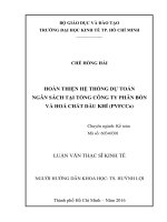 Hoàn thiện hệ thống dự toán  ngân sách tại tổng công ty phân bón và hóa chất dầu khí (PVFCCo) 