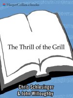 IT training schlesinger, christopher   the thrill of the grill~techniques, recipes,  down home barbecue 