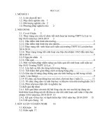 SKKN một vài biện pháp nhằm nâng cao hiệu quả tiết sinh hoạt cuối tuần thông qua công tác chủ nhiệm tại lớp 10a5 trường THPT lê lai 