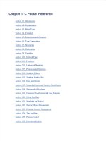 IT training c pocket reference  c syntax and fundamentals prinz  kirch prinz 2002 11 30 1 