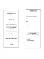 Tác động của công nghệ thông tin đến kết quả xuất khẩu của các doanh nghiệp vừa và nhỏ   nghiên cứu trên địa bàn thành phố hà nội tt 